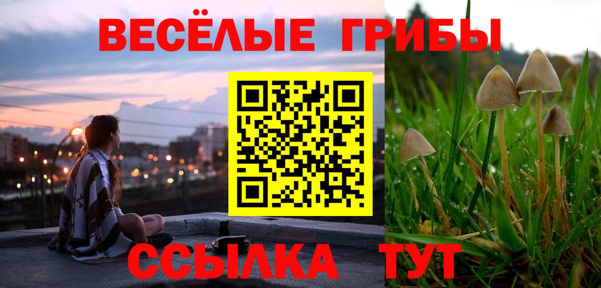 Нижний Тагил  цены   Вход с VPN  Галлюциногенные грибы GOLDEN TEACHER 