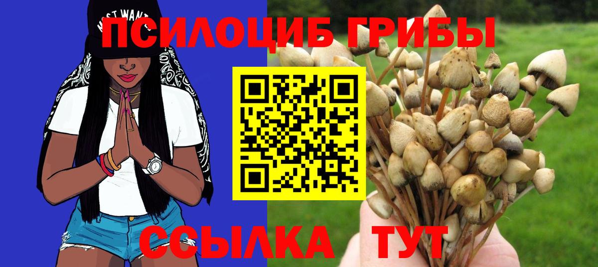 Галлюциногенные грибы мицелий Нижний Тагил